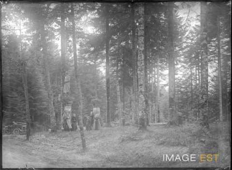 Groupe de personnes dans une forêt (Vosges ?)
